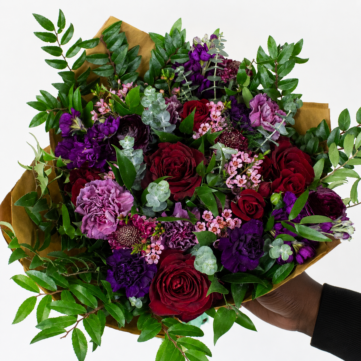 Signature Mauve