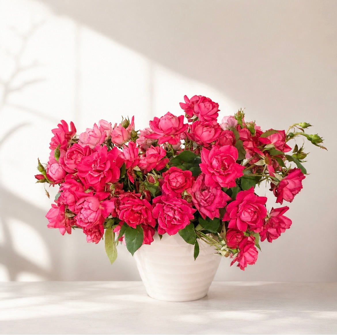 From the Garden